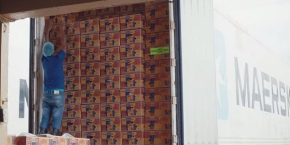 壹定发·(EDF)最新官方网站